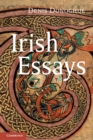 Image for Irish Essays