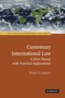 Image for Customary international law  : a new theory with practical applications