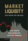 Image for Financial market liquidity  : asset pricing, risk, and crises