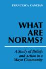 Image for What Are Norms? : A Study of Beliefs and Action in a Maya Community