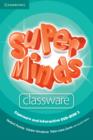 Image for Super Minds Level 3 Classware and Interactive DVD-ROM