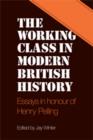 Image for The Working Class in Modern British History