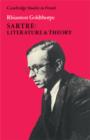 Image for Sartre: Literature and Theory