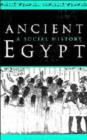 Image for Ancient Egypt : A Social History