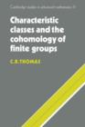 Image for Characteristic Classes and the Cohomology of Finite Groups