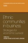 Image for Ethnic Communities in Business