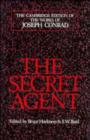 Image for The Secret Agent : A Simple Tale