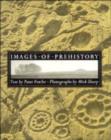 Image for Images of Prehistory : Views of Early Britain