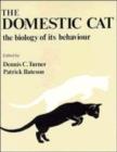 Image for Domestic Cat