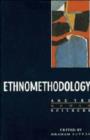 Image for Ethnomethodology and the Human Sciences
