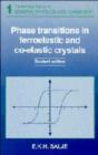 Image for Phase Transitions in Ferroelastic and Co-elastic Crystals