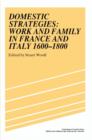 Image for Domestic Strategies : Work and Family in France and Italy, 1600-1800