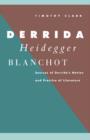 Image for Derrida, Heidegger, Blanchot : Sources of Derrida&#39;s Notion and Practice of Literature