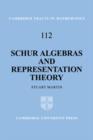 Image for Schur Algebras and Representation Theory