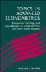 Image for Topics in Advanced Econometrics : Estimation, Testing, and Specification of Cross-Section and Time Series Models