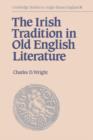 Image for The Irish Tradition in Old English Literature