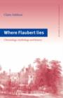 Image for Where Flaubert Lies