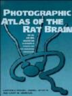 Image for Photographic Atlas of the Rat Brain