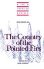 Image for New Essays on The Country of the Pointed Firs