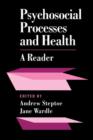 Image for Psychosocial Processes and Health : A Reader