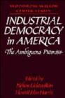 Image for Industrial Democracy in America