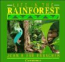 Image for Life in the Rainforest