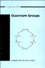 Image for A Guide to Quantum Groups