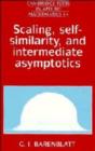 Image for Scaling, Self-similarity, and Intermediate Asymptotics : Dimensional Analysis and Intermediate Asymptotics