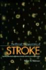 Image for The Clinical Neuropsychiatry of Stroke