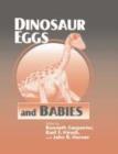 Image for Dinosaur Eggs and Babies