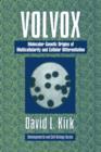 Image for Volvox  : a search for the molecular and genetic origins of multicellularity and cellular differentiation