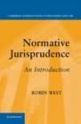 Image for Normative Jurisprudence