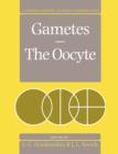 Image for Gametes - The Oocyte