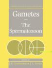 Image for Gametes - The Spermatozoon