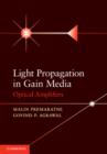 Image for Light Propagation in Gain Media