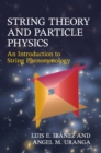 Image for String theory and particle physics  : an introduction to string phenomenology