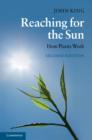 Image for Reaching for the Sun