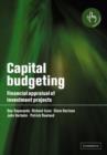 Image for Capital budgeting  : financial appraisal of investment projects