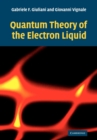 Image for Quantum Theory of the Electron Liquid