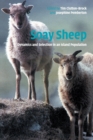 Image for Soay Sheep