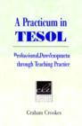 Image for A practicum in TESOL  : professional development through teaching practice