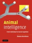 Image for Animal intelligence  : from individual to social cognition