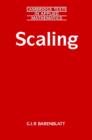 Image for Scaling