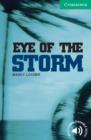 Image for Eye of the Storm Level 3