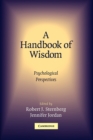 Image for A handbook of wisdom  : psychological perspectives