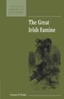 Image for The Great Irish Famine