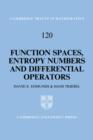 Image for Function spaces, entropy numbers and differential operators