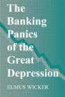 Image for The Banking Panics of the Great Depression