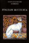 Image for Italian Maiolica