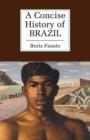 Image for A concise history of Brazil